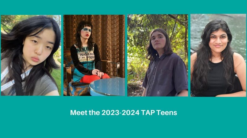 Meet the 2023 2024 TAP Teens